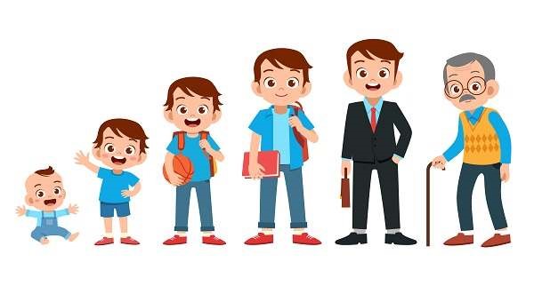 نظریه رشد اجتماعی لوینسون