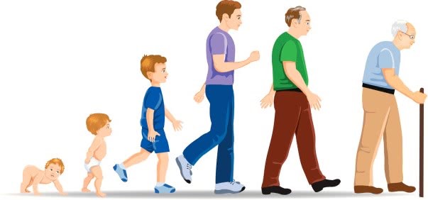 پاورپوینت نظریه لوینسون