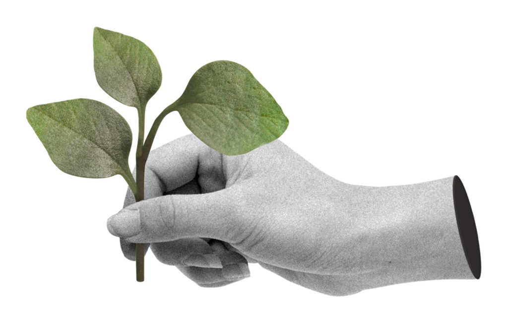 مثال برای هوش هیجانی